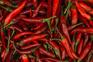 Recherche de fuite d'eau Cayenne